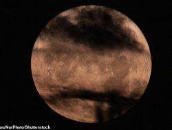 Tomorrow’s Moon Illusion: How to Witness the Stunning Visual Phenomenon