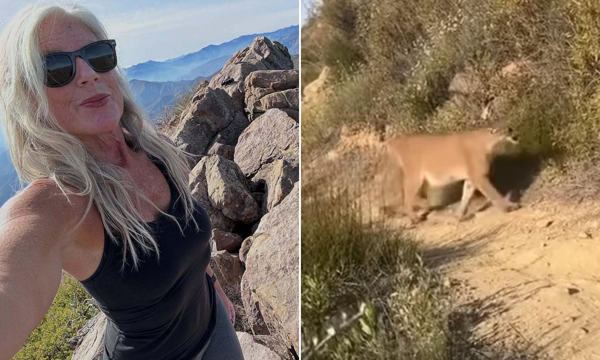 Hiker’s Heart-Pounding Video Reveals Survival Move Against Mountain Lion