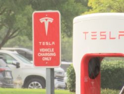 Electric Cars Surging in Alabama Electric Cars Surging in Alabama