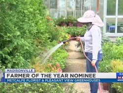 Madisonville Farmer Honored as Farmer of the Year