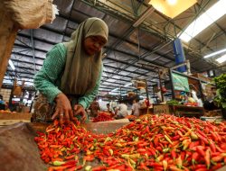 Harga Pangan Hari Ini 10 Juli: Beras Mahal, Cabai Makin Pedas Harga Pangan Hari Ini 10 Juli: Beras Mahal, Cabai Makin Pedas