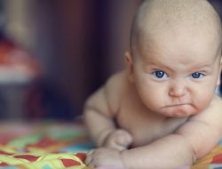 Baby food often sweet, smooth, and off-track with health guidelines, study reveals Baby food often sweet, smooth, and off-track with health guidelines, study reveals