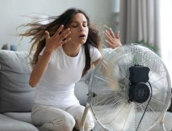 UK households asked to switch off fans this week UK households asked to switch off fans this week