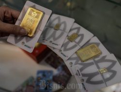 Harga Emas Hari Ini Naik Turun, Ini Merk yang Menguntungkan! Harga Emas Hari Ini Naik Turun, Ini Merk yang Menguntungkan!