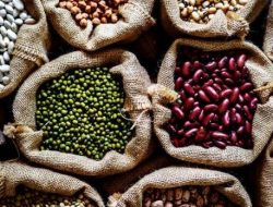 10 Makanan Turunkan Kolesterol Tinggi