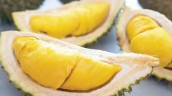Singapore offers  all-you-can-eat durian buffet