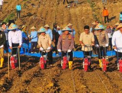500 Ribu Hektare Lahan Sosial Jadi Agroforestri Jagung 500 Ribu Hektare Lahan Sosial Jadi Agroforestri Jagung