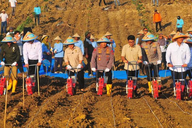 500 Ribu Hektare Lahan Sosial Jadi Agroforestri Jagung