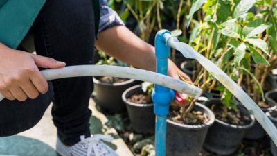 3 Trik Bersihkan Lumut di Selang Air, Gunakan Bahan Dapur Ini
