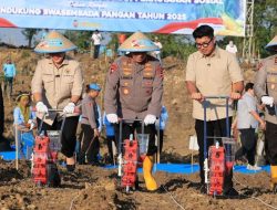Capai Swasembada Pangan, Luas Tanam Jagung Kuartal III Capai 168 Ribu Hektare Capai Swasembada Pangan, Luas Tanam Jagung Kuartal III Capai 168 Ribu Hektare