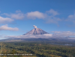Semeru Meletus, Petugas Laporkan Ketinggian Abu 700 Meter di Atas Puncak