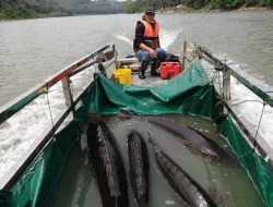 China Blows Up 300 Dams to Protect Yangtze River Ecosystem