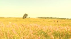 Farmers brace for tariffs