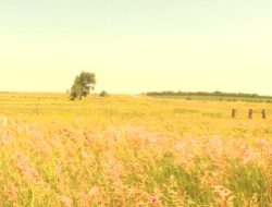 Farmers brace for tariffs