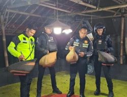 Detik-Detik Penggerebekan Arena Sabung Ayam di Tasikmalaya, Awalnya Patroli Miras