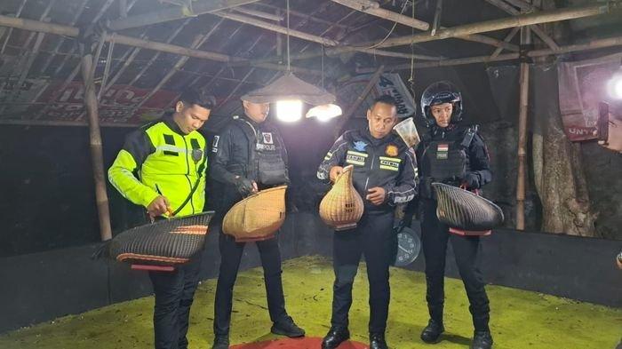 Detik-Detik Penggerebekan Arena Sabung Ayam di Tasikmalaya, Awalnya Patroli Miras