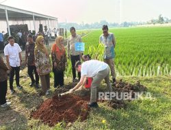 Kuatkan Sinergi, Evaluasi dan Percepat Swasembada Pangan Kuatkan Sinergi, Evaluasi dan Percepat Swasembada Pangan