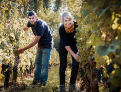 Bordeaux’s Organic Revolution: A New Red Wine Era