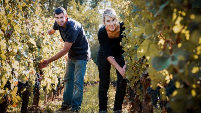 Bordeaux’s Organic Revolution: A New Red Wine Era