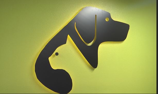 Souris Valley Animal Shelter Hosts 5K Color Run and Lend-A-Paw Festival Next Month