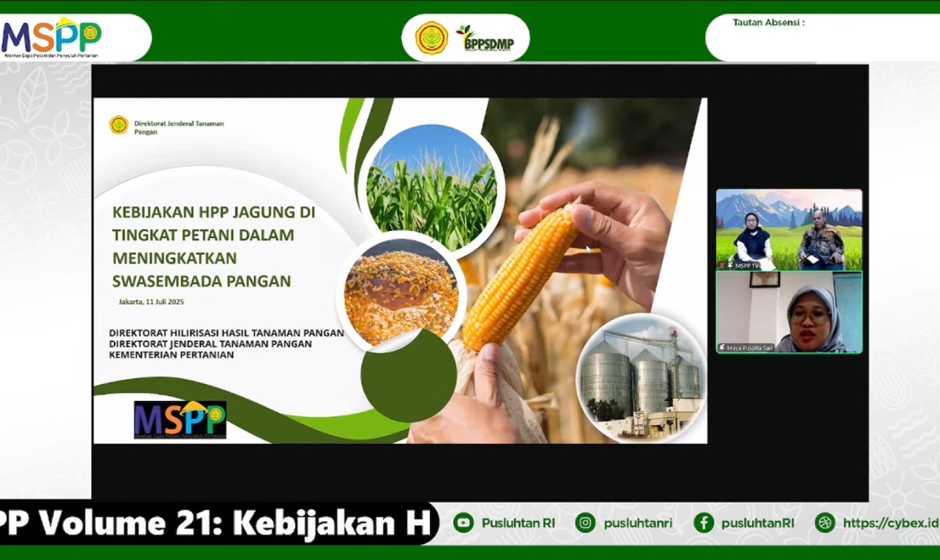 Pemerintah Tetapkan Harga Pokok Panen Jagung untuk Swasembada Pangan