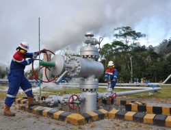 PGE Kuatkan Ketahanan Pangan dengan Hutan Sosial