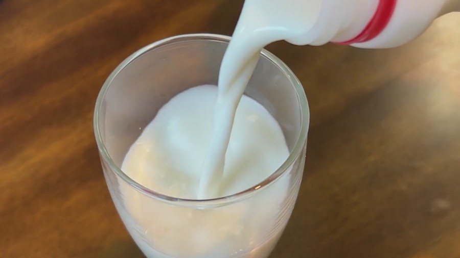 Safeguarding New York’s Dairy Supply This Summer