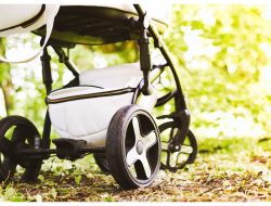 Woman Found in Baby’s Stroller Discovers Her Birth Mother’s Secret Woman Found in Baby’s Stroller Discovers Her Birth Mother’s Secret