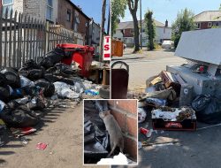 Rats and waste overwhelm Birmingham’s streets during 32C heatwave and strikes Rats and waste overwhelm Birmingham’s streets during 32C heatwave and strikes