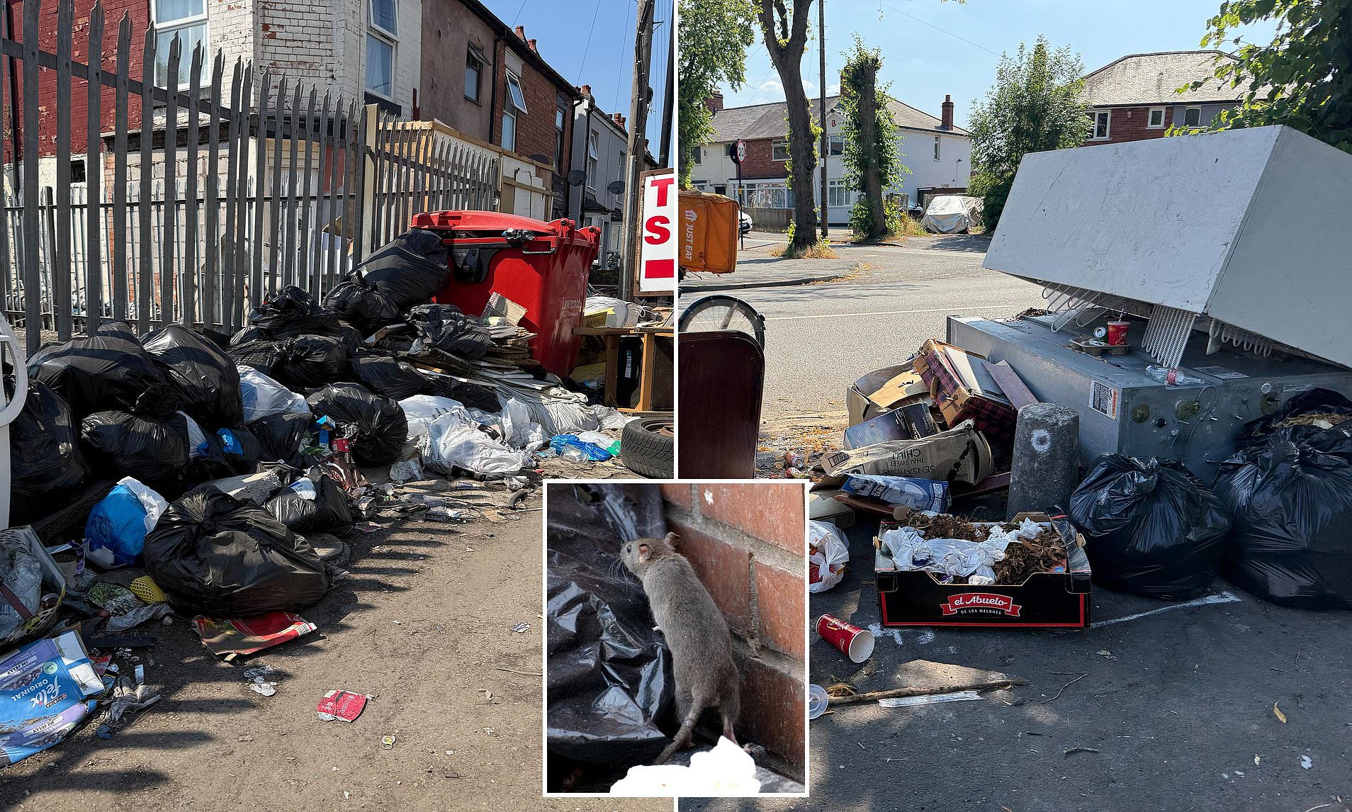 Rats and waste overwhelm Birmingham’s streets during 32C heatwave and strikes