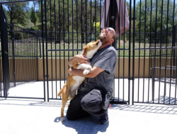 Animal Humane NM Evacuates Pets After Ruidoso Floods Animal Humane NM Evacuates Pets After Ruidoso Floods
