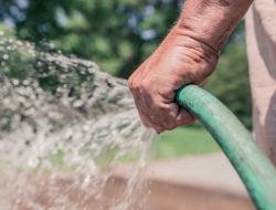 Yorkshire Water’s Delayed Hosepipe Ban Surprises Many