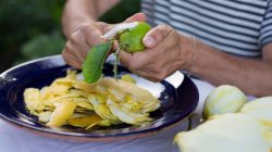 Don’t Toss Fruit Peels — Make Jam Instead