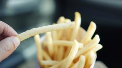 What Fries Do People in Your State Love? A Survey Reveals