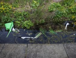 Why Are You at Risk of a Fine on Nottingham’s Lime E-Bikes?