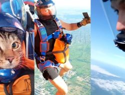 Cat Skydiving with Owner in Custom Helmet Cat Skydiving with Owner in Custom Helmet