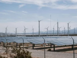 India Surpasses 20 GW Renewable Capacity in First Half
