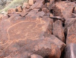 Heritage rock art threatened by gas project