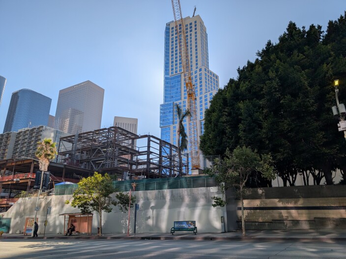 Who Will Save Sunshine? The Palm Tree Could Be Bunker Hill’s Last Survivor
