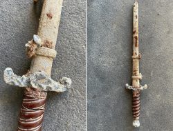 Mom Discovers Buried Sword in Yard—Unearths Historical Mystery Mom Discovers Buried Sword in Yard—Unearths Historical Mystery