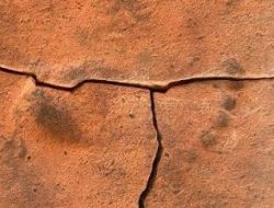 See Roman toddler’s footprint at pop-up museum See Roman toddler’s footprint at pop-up museum