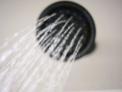 Simple Showers Are Best, Experts Say Simple Showers Are Best, Experts Say