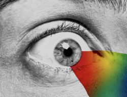 Can You Pass This Vision Test?
