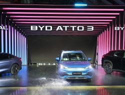 BYD Fails to Take Root in South Korea 6 Months Post-Launch BYD Fails to Take Root in South Korea 6 Months Post-Launch