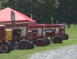 14th Annual International Harvester Show Draws Enthusiasts