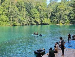 Danau Ajaib Dua Warna dan Rasa di Berau Danau Ajaib Dua Warna dan Rasa di Berau