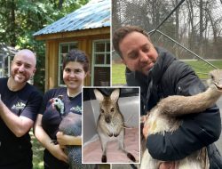 No Bull: Wild Exotic Animal Rescues in NYC and Long Island