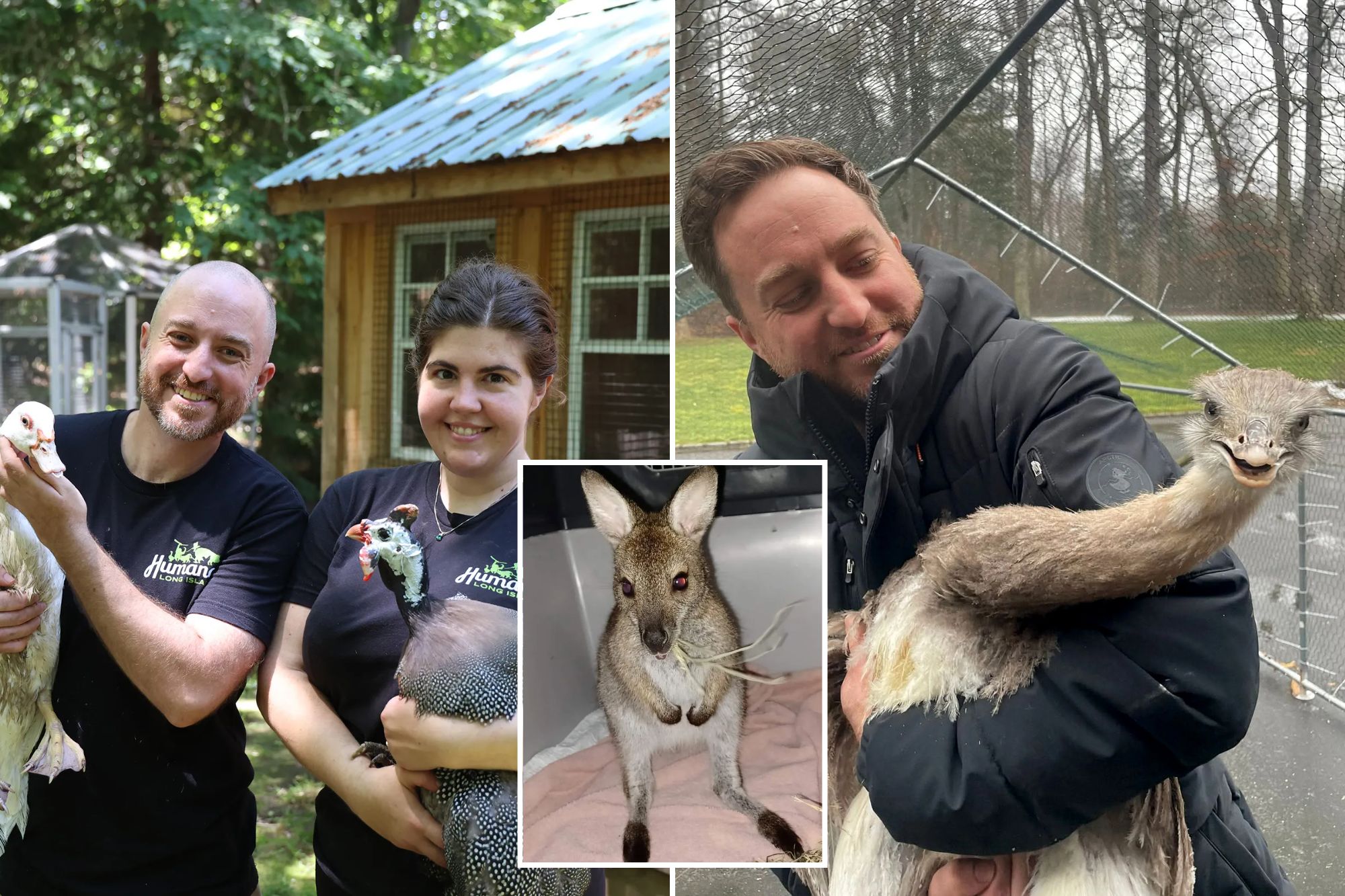 No Bull: Wild Exotic Animal Rescues in NYC and Long Island