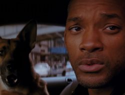 Will Smith Reveals I Am Legend’s Controversial Twist Pitched to Studio After Dog Photo Show Will Smith Reveals I Am Legend’s Controversial Twist Pitched to Studio After Dog Photo Show