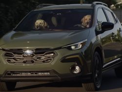 Subaru’s Dog Ads Go Beyond Cuteness Subaru’s Dog Ads Go Beyond Cuteness